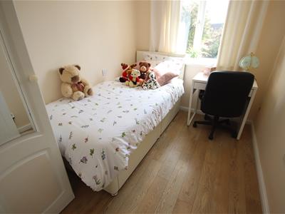 Picture 13